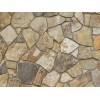 Winecellar Stone Veneer