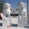 White Marble Lions 4