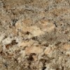 Crema Bordeaux Granite Tile