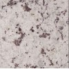 Bianco Romano Granite Tile