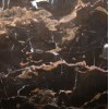 Michael Angelo Marble Tile