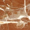 Rojo Corolito Marble Tile