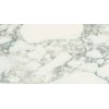 Arabescato Vagli Marble Tile