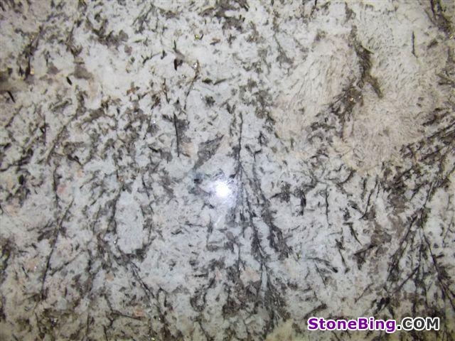 Bianco Venus Granite Tile