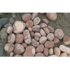 Natural Pebbles YLSC-TRLS002