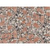 Pearl Red Granite Tile