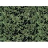 China Green Granite Tile