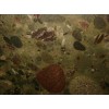 Twister Granite Tile