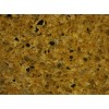 Hanstone Maple Canyon Quartz