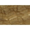 Stalattite Brown Onyx Tile