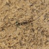 Giallo Santan Cecilia Granite