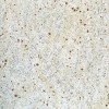 Kashimir White Granite Tile