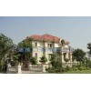 sell sandstone wall cladding