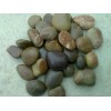 red pebble, brown pebble