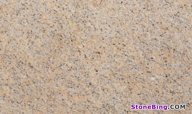 Amarelo Vitória Granite Slab
