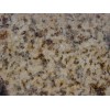 rayal golden granite