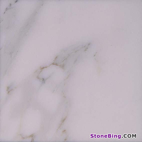 Calacatta Carrara Marble Tile