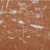 French Red Marble Tile