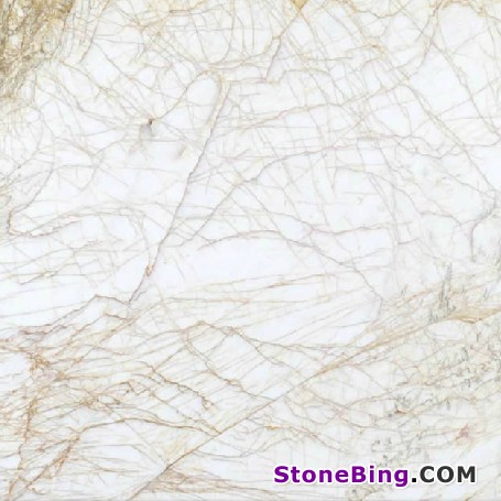 Golden Spider Marble Tile