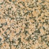 Rossa Porino Granite Tile