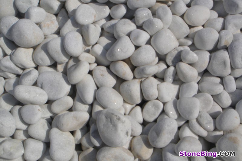 Rajnagar White Pebbles
