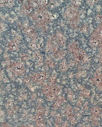 Bala Flower Granite Tile