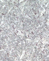 Pearl White Granite Tile