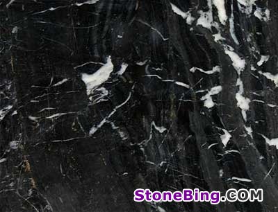 Black Gold Marble Tile
