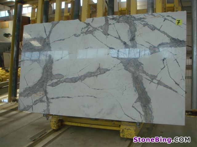  Calacatta Turkey Marble Slab
