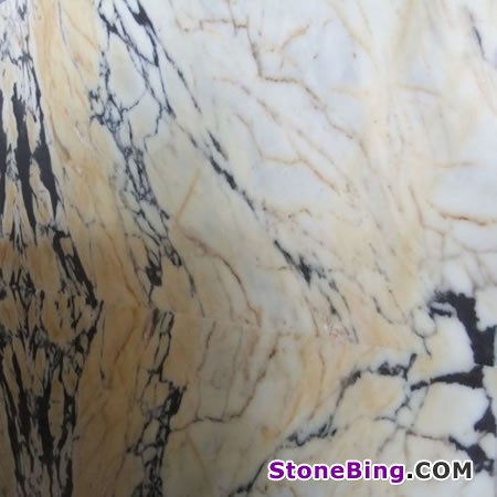 Viola Marble Tile