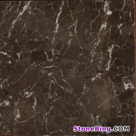 Brown Intense Marble Tile