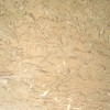 Golden Fossil Beige Marble