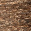 Mystic Travertine Tile