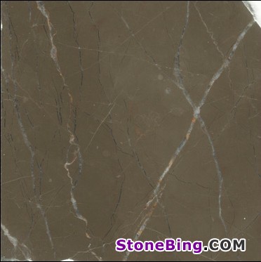 Olive Maroon Marble Tile