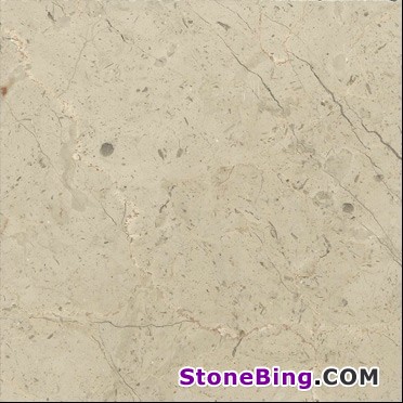 Dotted Beige Marble Tile