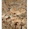 Crema Bordeaux Granite Tile