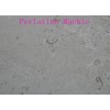 Hot selling Marble Tiles