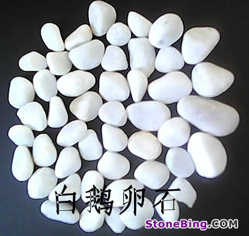 Supply White Pebbles