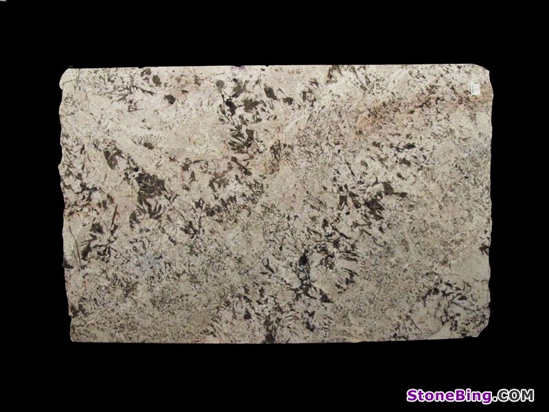 Bianco Noveau Granite Slab