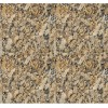 Giallo Fiorito Granite Tile