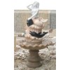 Fountain FT1003