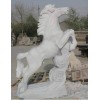 Horse Sculpture DW1004