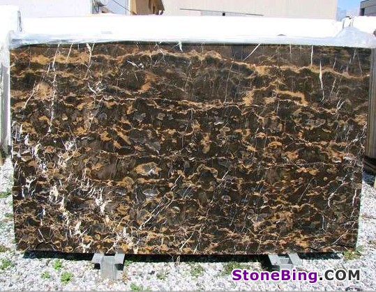 Black Gold / Michelangelo Marble Slab