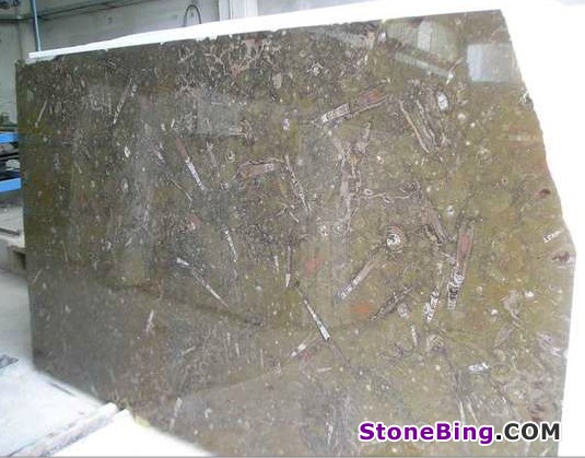 Fossile Brown Marble Slab