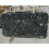 Fossile Nero Marble Slab