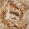 Arizona Sunset Travertine Tile