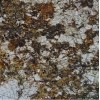 Carnaval Granite Tile