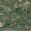 Green Marinace Granite Tile