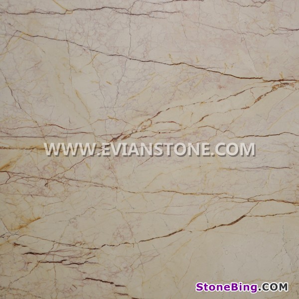 Sofitel Gold Marble Tile