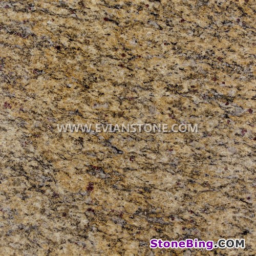 Giallo Cecilia Granite Tile